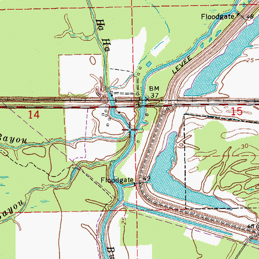 Topographic Map of Bad Bayou, LA