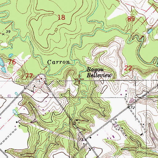 Topographic Map of Bayou Belleview, LA