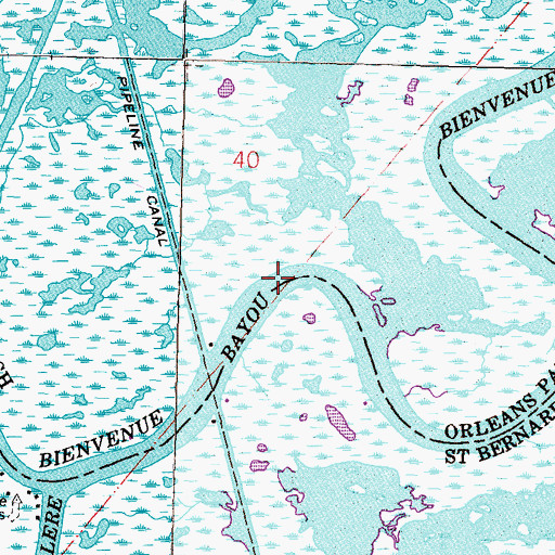 Topographic Map of Bayou Bienvenue, LA