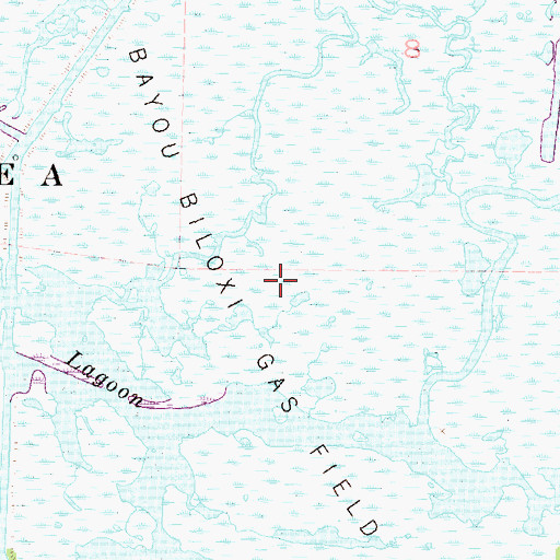 Topographic Map of Bayou Biloxi Gas Field, LA