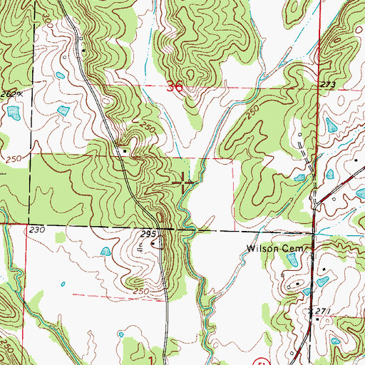 Topographic Map of Walnut Branch, AR