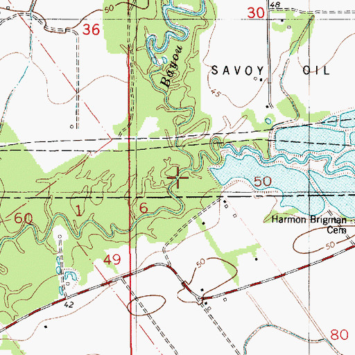 Topographic Map of Bayou Doza, LA