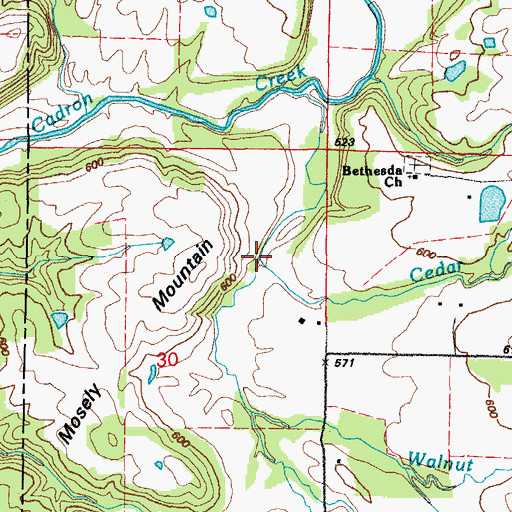 Topographic Map of Walnut Creek, AR
