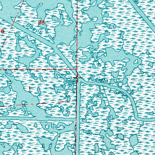 Topographic Map of Bayou Juanita, LA