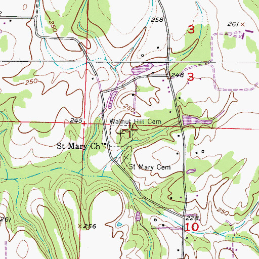 Topographic Map of Walnut Hill Cemetery, AR