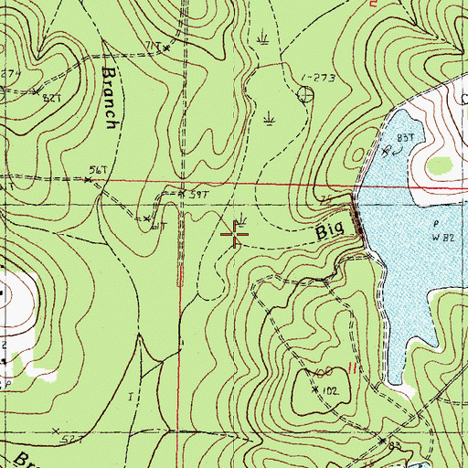 Topographic Map of Big Branch, LA