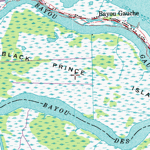 Topographic Map of Black Prince Island, LA