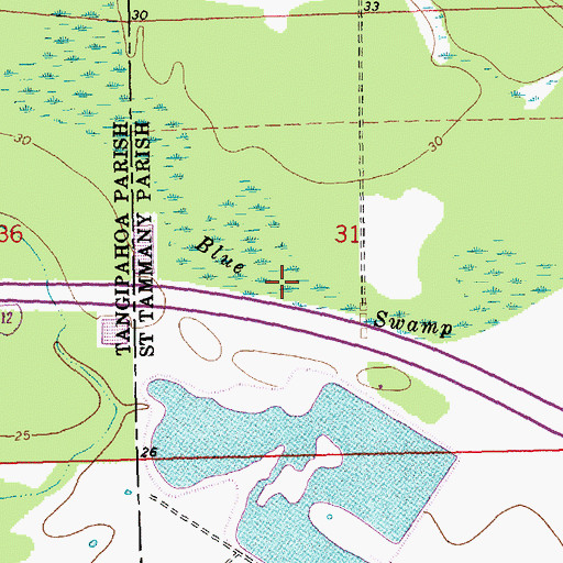 Topographic Map of Blue Swamp, LA