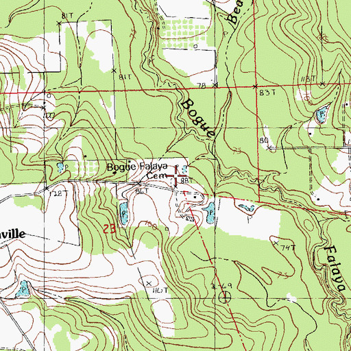 Topographic Map of Bogue Falaya Cemetery, LA