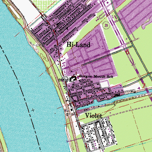 Topographic Map of Borgnemouth Elementary School (historical), LA