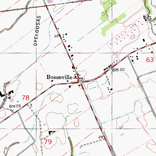 Topographic Map of Boscoville, LA