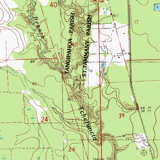 Topographic Map of Bull Branch, LA