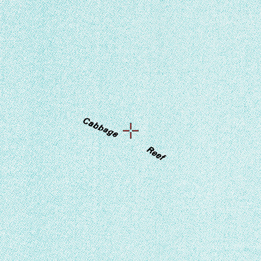 Topographic Map of Cabbage Reef, LA