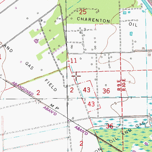 Topographic Map of Charenton Oil and Gas Field, LA