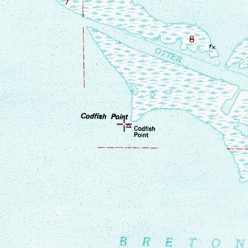 Topographic Map of Codfish Point, LA