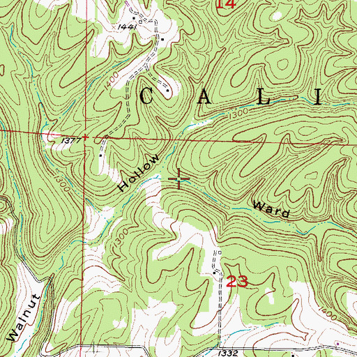 Topographic Map of Ward Hollow, AR