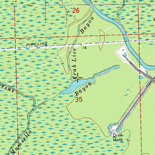 Topographic Map of Crab Lice Bayou, LA