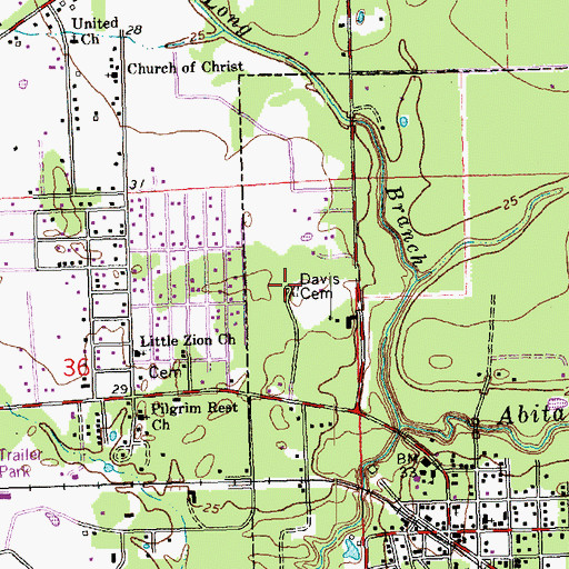 Topographic Map of Davis Cemetery, LA