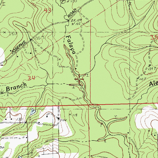 Topographic Map of Dismal Branch, LA