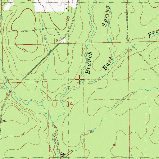 Topographic Map of East Spring Branch, LA