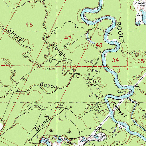 Topographic Map of Fish Slough, LA