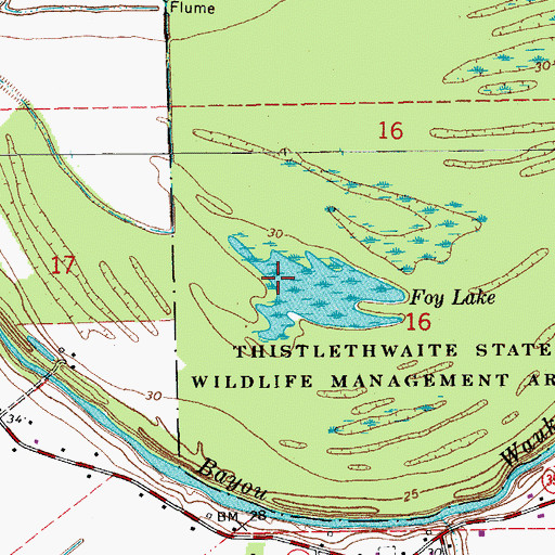 Topographic Map of Foy Lake, LA