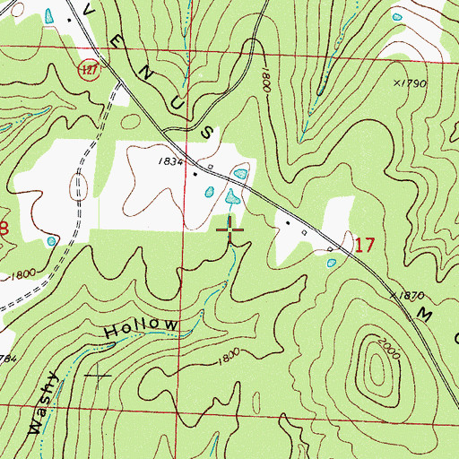 Topographic Map of Washy Hollow, AR