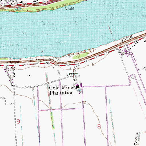 Topographic Map of Gold Mine Plantation, LA