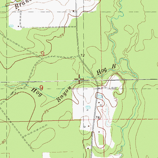 Topographic Map of Hog Bayou, LA