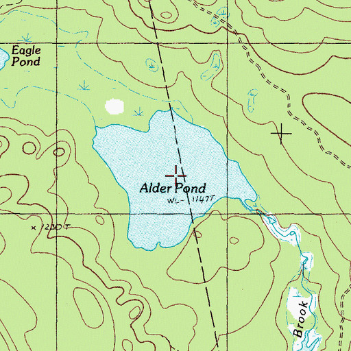 Topographic Map of Alder Pond, ME