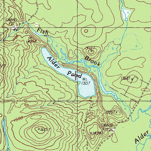 Topographic Map of Alder Pond, ME