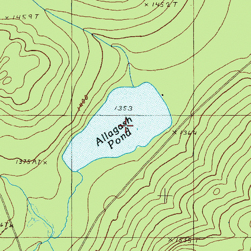 Topographic Map of Allagash Pond, ME