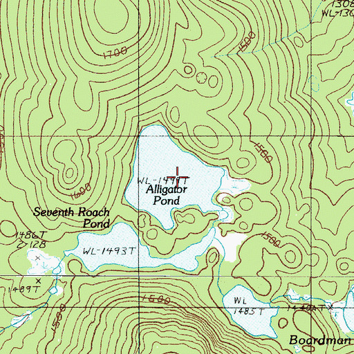 Topographic Map of Alligator Pond, ME