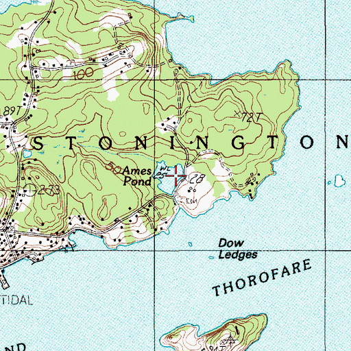 Topographic Map of Ames Pond, ME