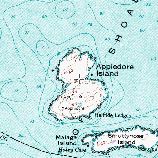 Topographic Map of Appledore Island, ME