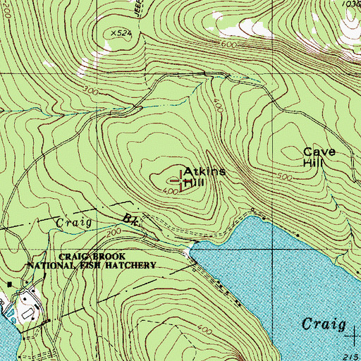 Topographic Map of Atkins Hill, ME