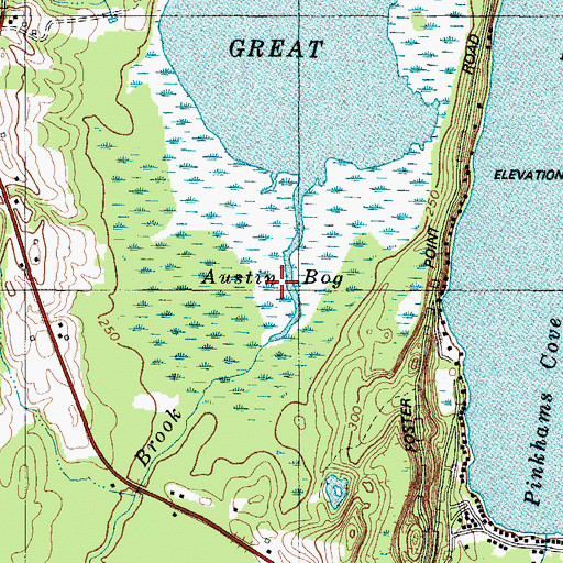 Topographic Map of Austin Bog, ME