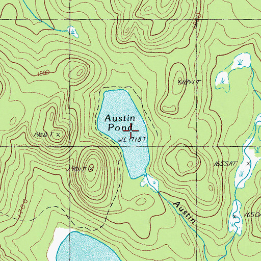 Topographic Map of Austin Pond, ME