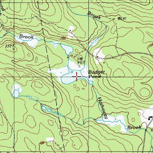 Topographic Map of Badger Pond, ME