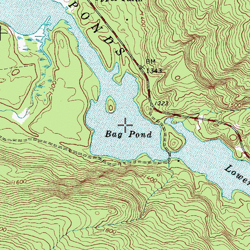 Topographic Map of Bag Pond, ME