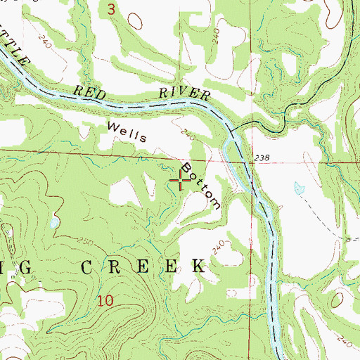 Topographic Map of Wells Bottom, AR
