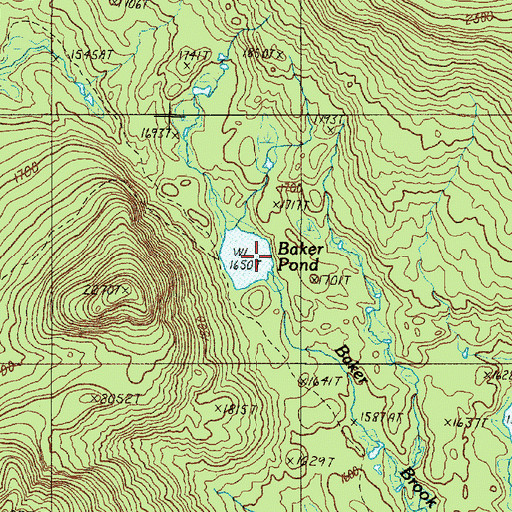 Topographic Map of Baker Pond, ME