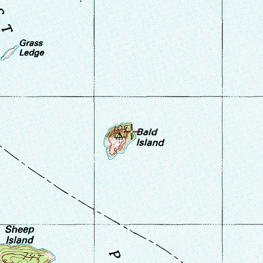 Topographic Map of Bald Island, ME