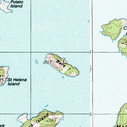 Topographic Map of Bare Island, ME