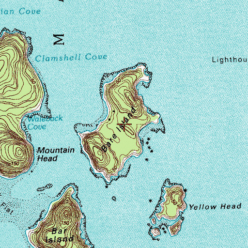 Topographic Map of Bare Island, ME