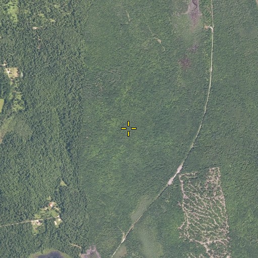 Aerial/Satellite Image of Bartlett Hill, ME
