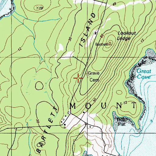 Topographic Map of Bartlett Island, ME