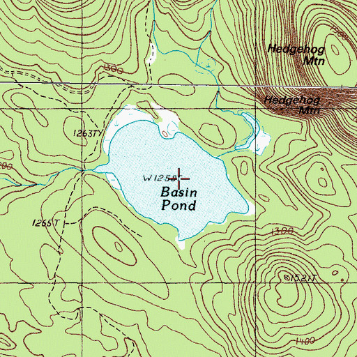 Topographic Map of Basin Pond, ME