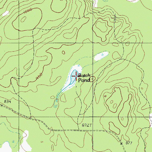 Topographic Map of Batch Pond, ME