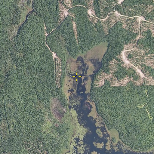 Aerial/Satellite Image of Bear Brook, ME